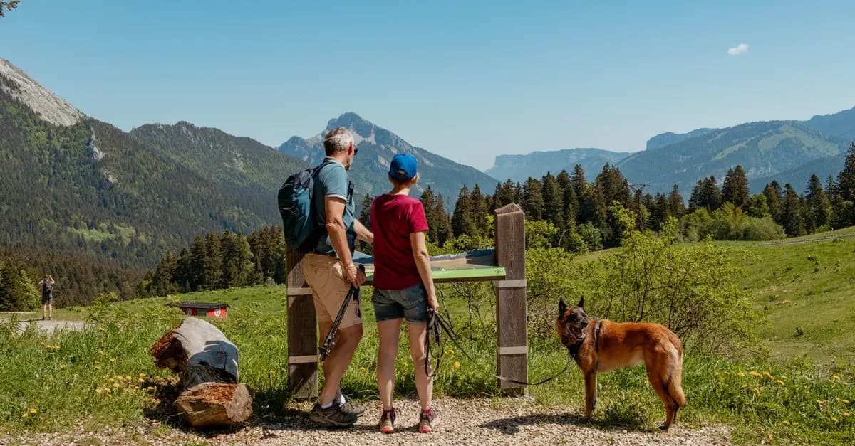 Les meilleures façons de découvrir les Alpes suisses