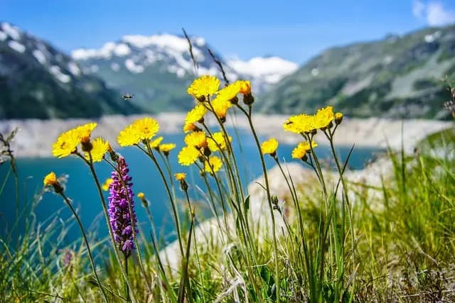 Les meilleures astuces pour choisir votre destination parfaite en Suisse