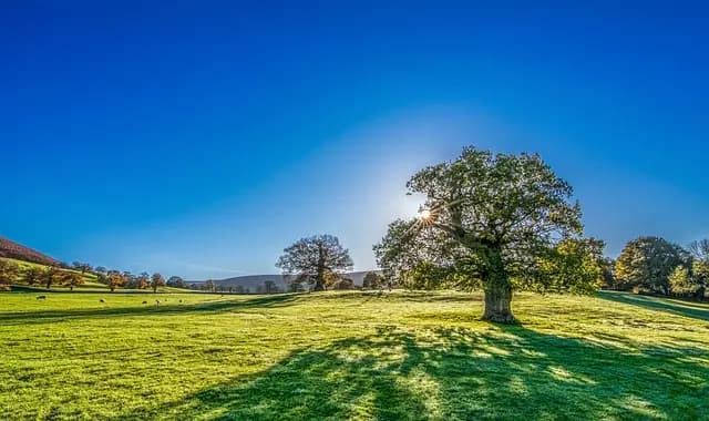 10 activités incontournables à faire lors de votre voyage en Suisse