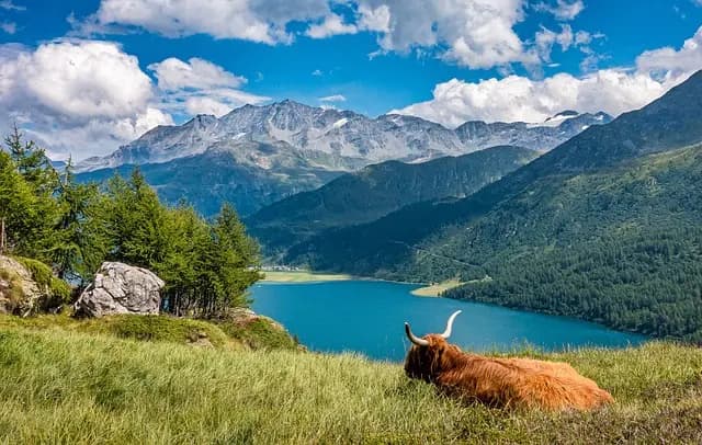 Les destinations de nature à découvrir absolument en Suisse