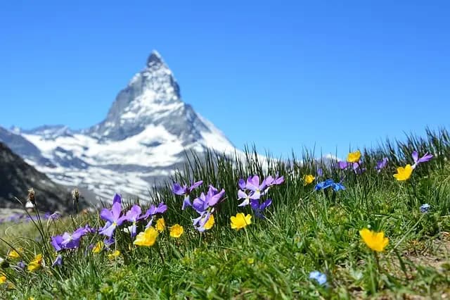 Top 5 des incontournables à visiter en Suisse