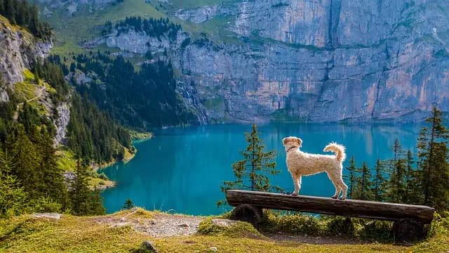 Les meilleures destinations secrètes à explorer en Suisse