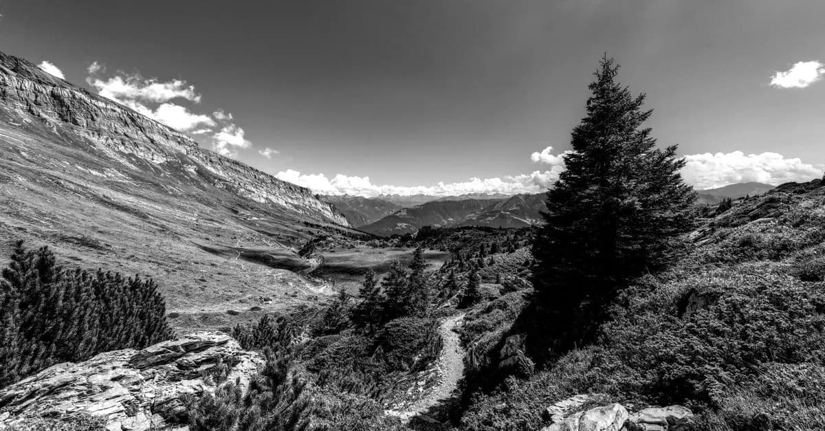 Guide des plus beaux itinéraires de randonnée en Gruyère