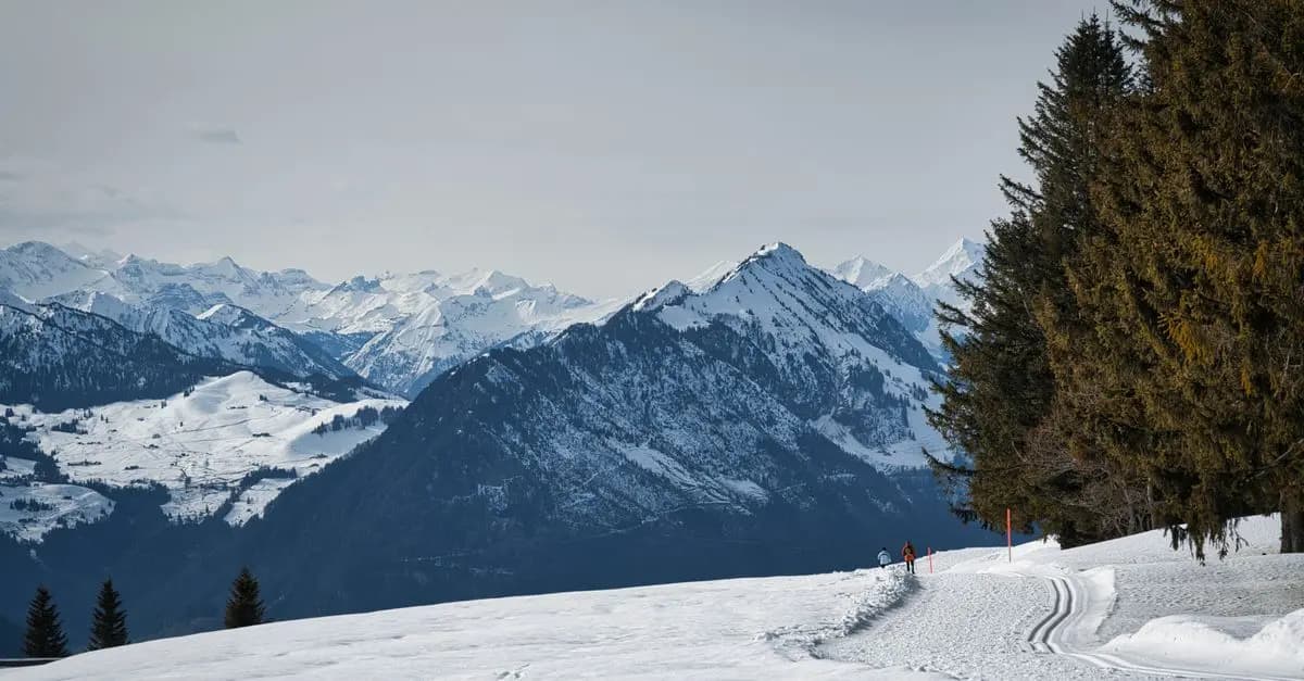 Top 5 des activités d'hiver à ne pas manquer en Suisse