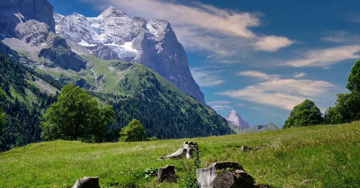 Choisir la meilleure période pour découvrir la Suisse en été