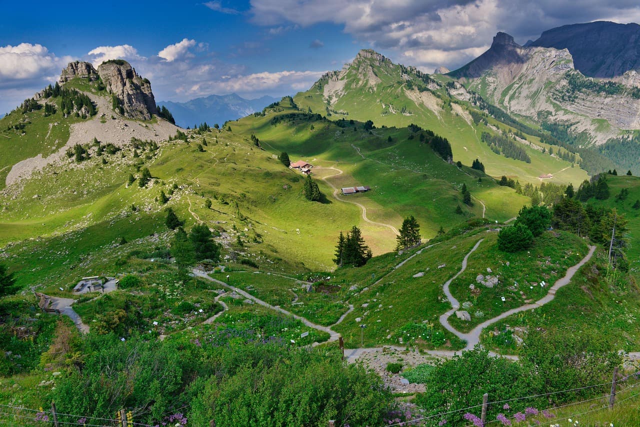Les 5 meilleures activités d'été en Suisse à découvrir