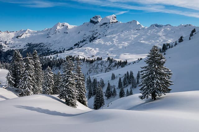 Les meilleures activités à faire lors des vacances d'hiver en Suisse