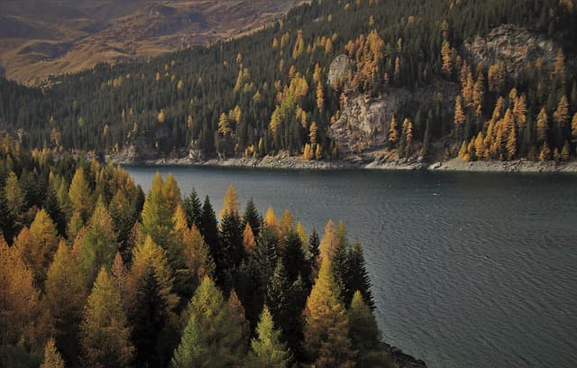 Les meilleures activités à faire en Suisse pendant l'été