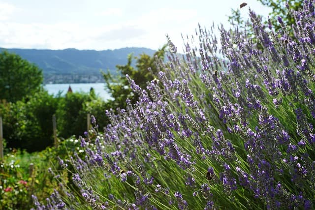 Les meilleures destinations de week-end en Suisse à explorer