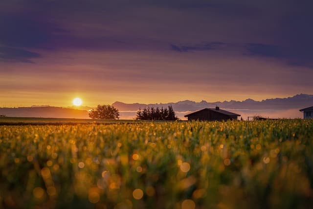 Les activités incontournables à faire en Suisse en été