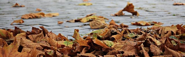 Les meilleures activités à faire en Suisse en automne