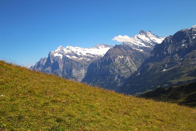Les meilleures expériences authentiques à vivre en Suisse